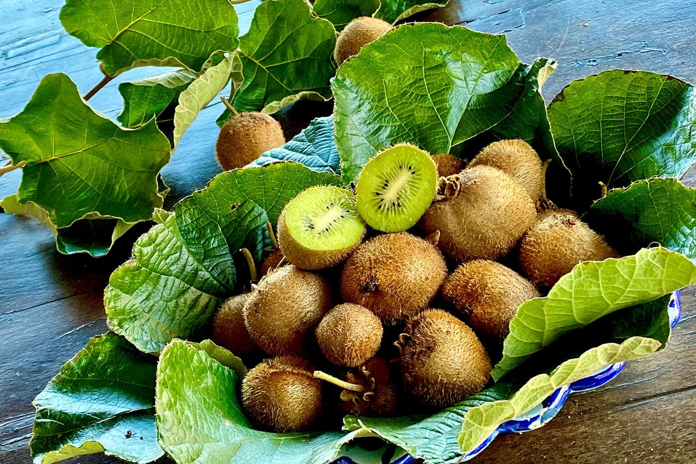 kiwis